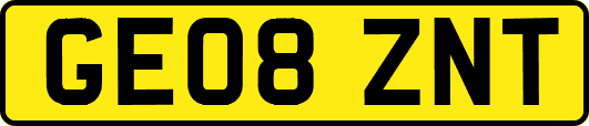 GE08ZNT