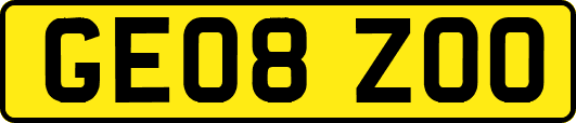 GE08ZOO