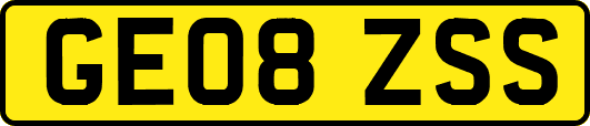 GE08ZSS