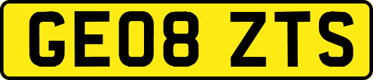 GE08ZTS