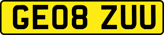 GE08ZUU