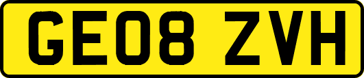 GE08ZVH