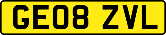 GE08ZVL