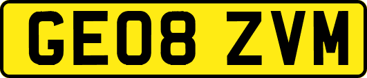 GE08ZVM