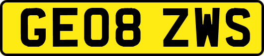 GE08ZWS