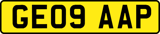 GE09AAP
