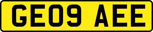 GE09AEE