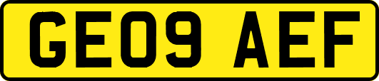 GE09AEF