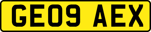 GE09AEX