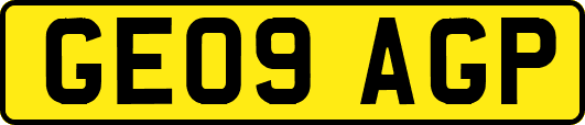 GE09AGP