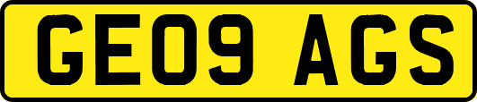 GE09AGS