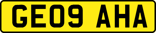 GE09AHA