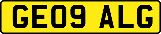 GE09ALG