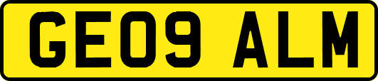GE09ALM