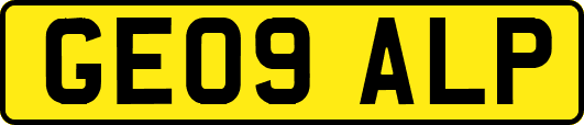 GE09ALP