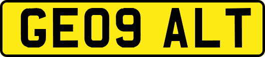 GE09ALT