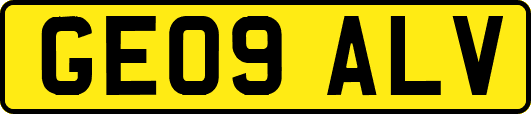 GE09ALV