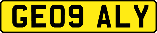 GE09ALY