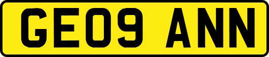 GE09ANN