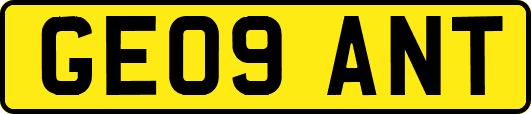 GE09ANT