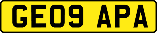 GE09APA