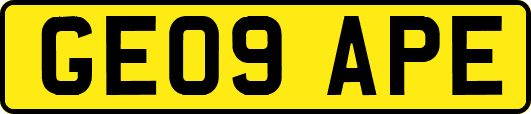 GE09APE