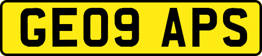 GE09APS