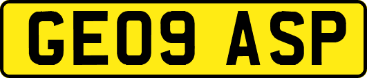 GE09ASP