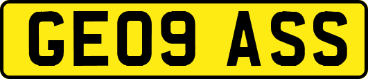 GE09ASS