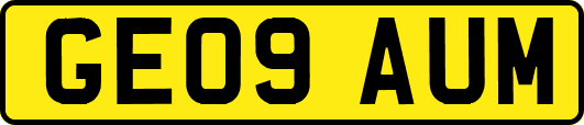 GE09AUM
