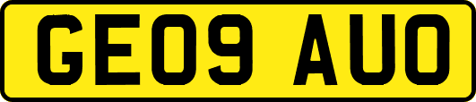 GE09AUO