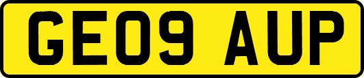 GE09AUP