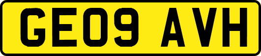 GE09AVH