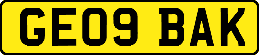 GE09BAK