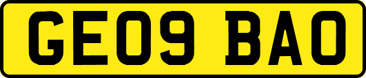 GE09BAO