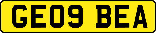 GE09BEA