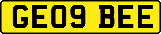 GE09BEE
