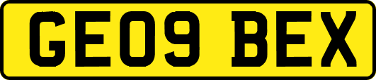 GE09BEX