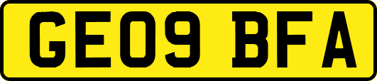 GE09BFA