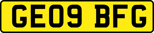 GE09BFG