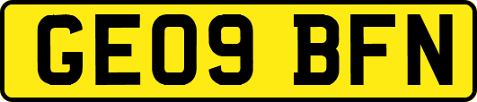 GE09BFN