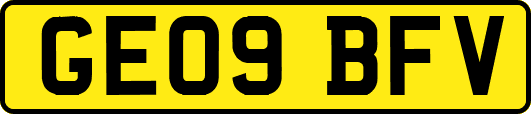 GE09BFV