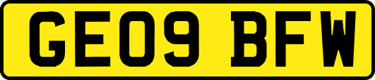 GE09BFW