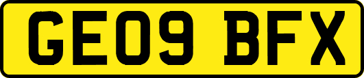 GE09BFX