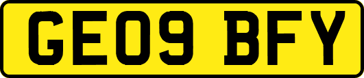 GE09BFY