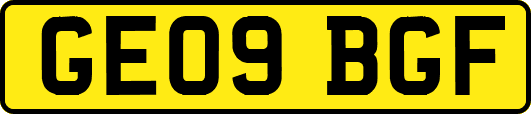 GE09BGF