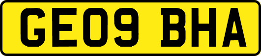 GE09BHA
