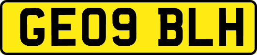 GE09BLH