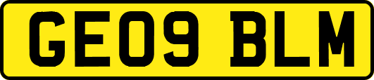 GE09BLM