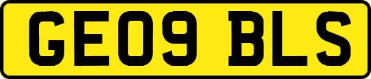 GE09BLS